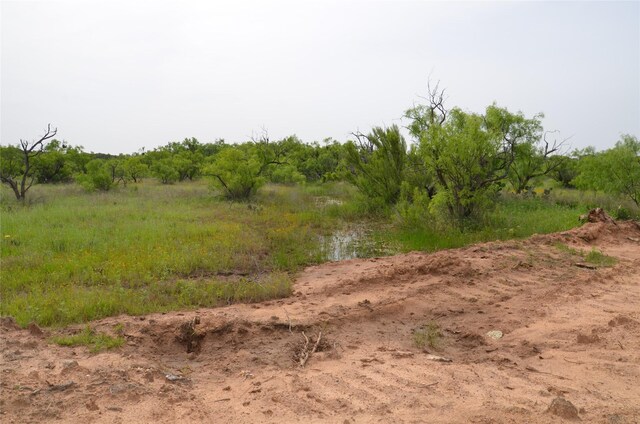 TBD Cr 119, Clyde, TX 79504