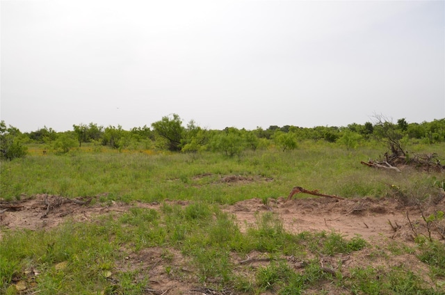 TBD Cr 119, Clyde, TX 79504