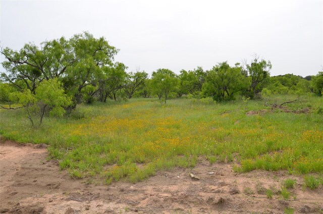 TBD Cr 119, Clyde, TX 79504