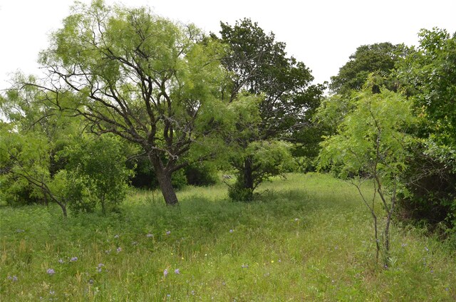 TBD Cr 119, Clyde, TX 79504