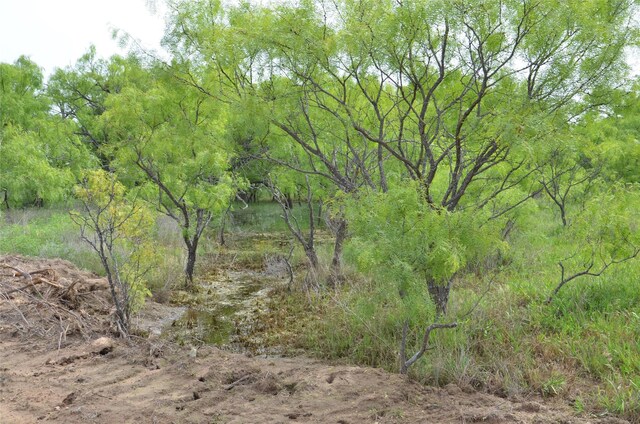 TBD Cr 119, Clyde, TX 79504