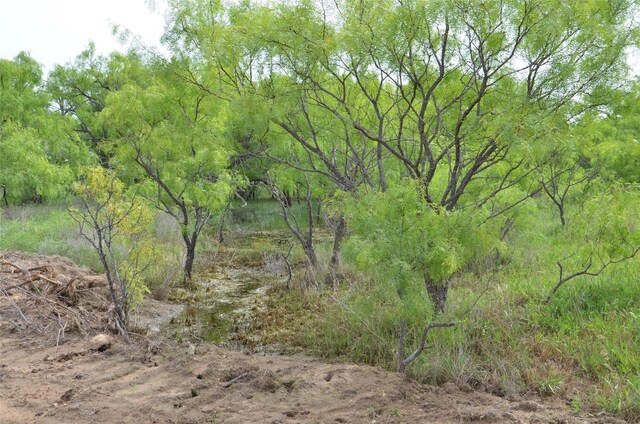 TBD Cr 119, Clyde, TX 79504