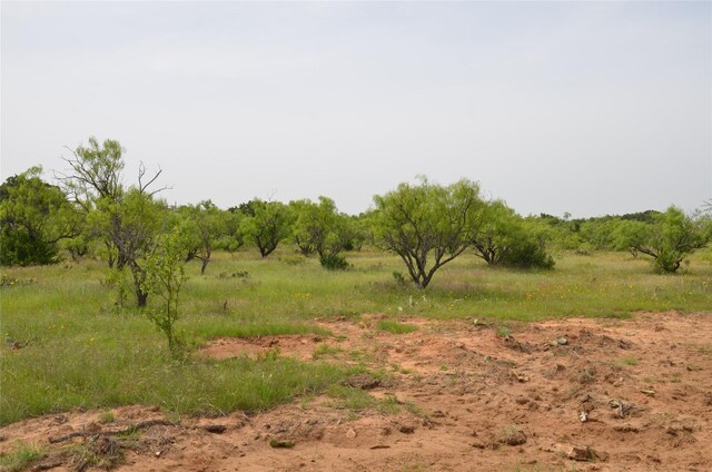 TBD Cr 119, Clyde, TX 79504