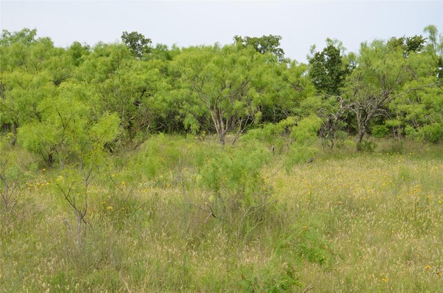 TBD Cr 119, Clyde, TX 79504