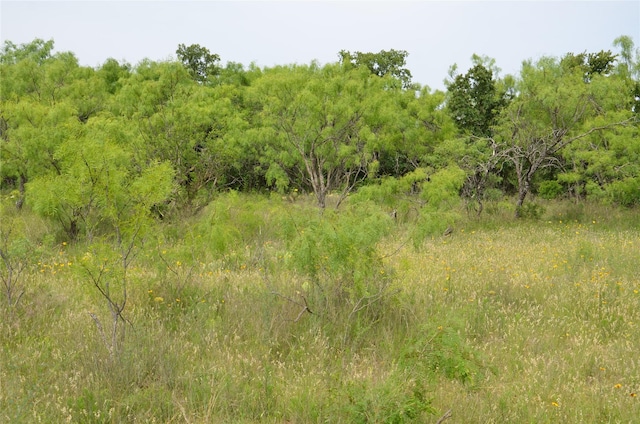 TBD Cr 119, Clyde, TX 79504