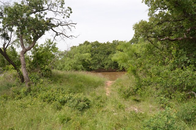 TBD Cr 119, Clyde, TX 79504