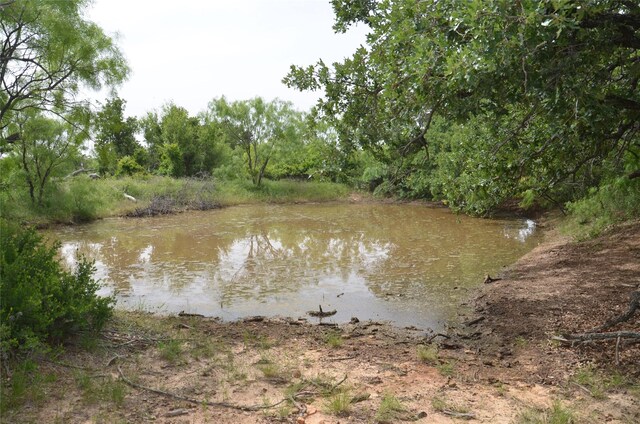 TBD Cr 119, Clyde, TX 79504