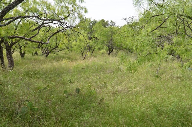 TBD Cr 119, Clyde, TX 79504