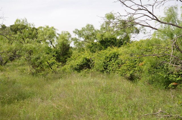 TBD Cr 119, Clyde, TX 79504