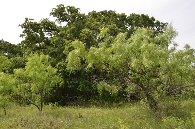 TBD Cr 119, Clyde, TX 79504