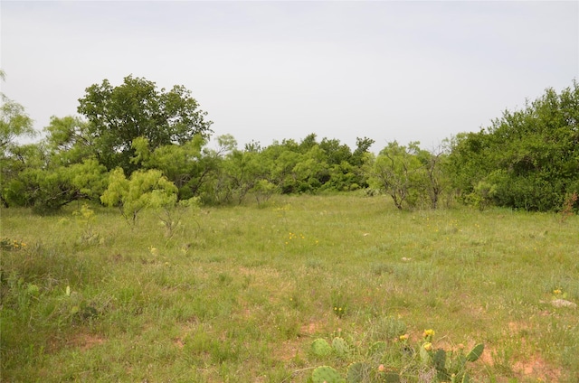 TBD Cr 119, Clyde, TX 79504