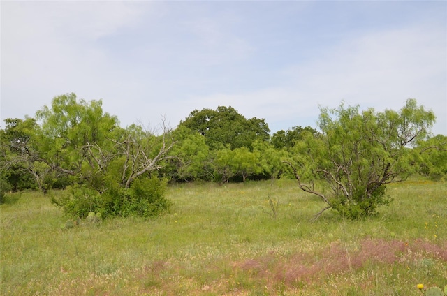 TBD Cr 119, Clyde, TX 79504
