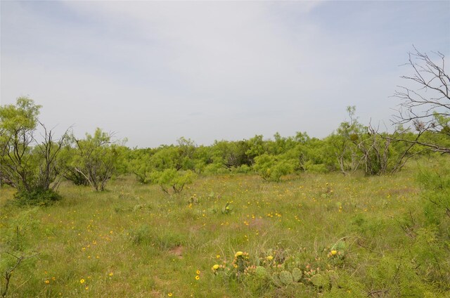 TBD Cr 119, Clyde, TX 79504