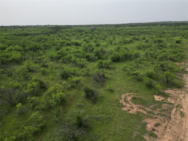 TBD Cr 119, Clyde, TX 79504