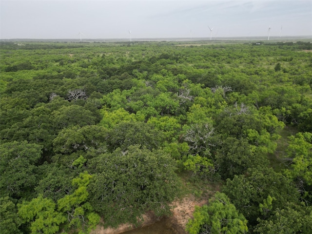 TBD Cr 119, Clyde, TX 79504
