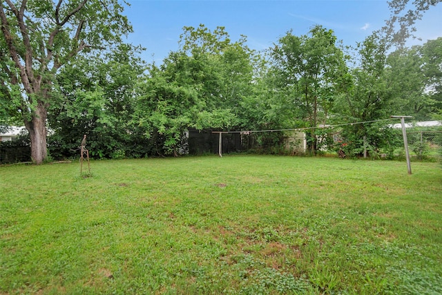 1316 Elm St, Bonham, TX 75418 - view of yard