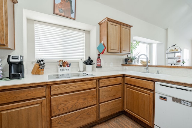 1415 Clubhill Dr, Rockwall, TX 75087 - kitchen with white dishwasher, a sink, light countertops, brown cabinetry, and dark wood finished floors
