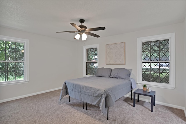 214 Bluebonnet Trl, Keene, TX 76059 - bedroom featuring multiple windows, carpet floors, and baseboards