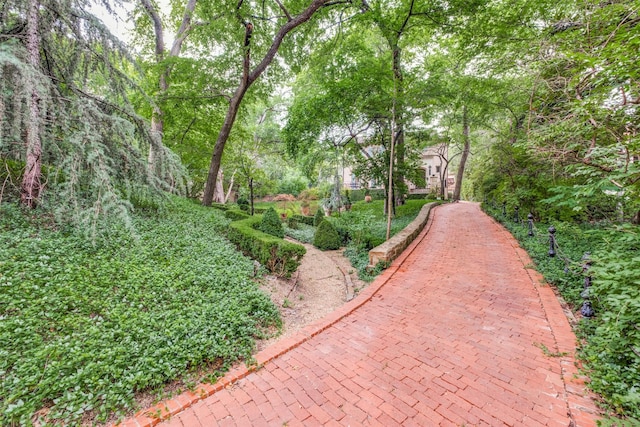 4107 Turtle Creek Blvd, Dallas, TX 75219 - view of property's community
