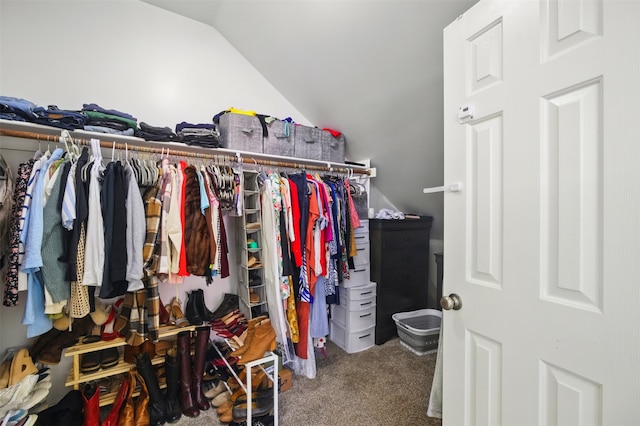 10014 Fairway Vista Dr, Rowlett, TX 75089 - walk in closet with vaulted ceiling and carpet