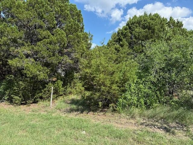 40038 Fringewood Dr, Whitney, TX 76692