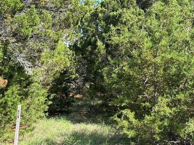 40038 Fringewood Dr, Whitney, TX 76692
