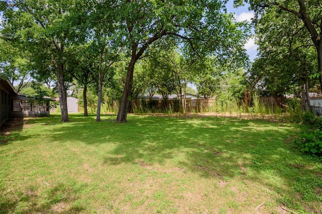 6917 Richlynn Ter, Richland Hills, TX 76118 - view of yard