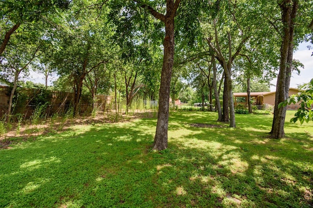 6917 Richlynn Ter, Richland Hills, TX 76118 - view of yard