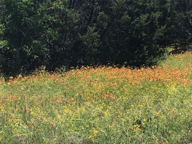 34016 Stonewood Dr, Whitney, TX 76692