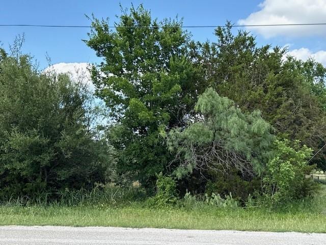 34016 Stonewood Dr, Whitney, TX 76692