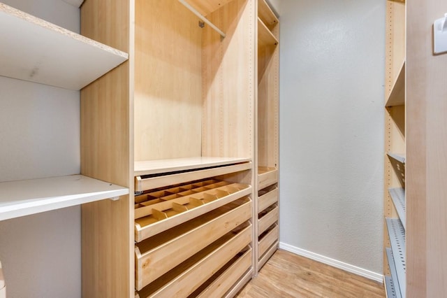 330 Las Colinas Blvd E Unit 140, Irving, TX 75039 - spacious closet with light wood finished floors
