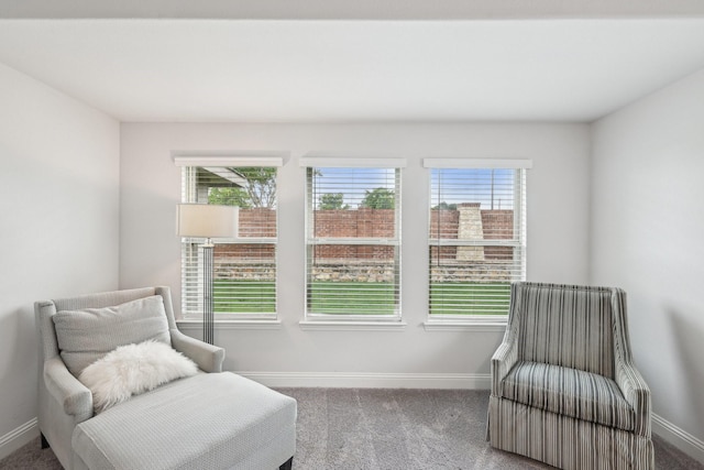 1512 Nighthawk Ln, Mansfield, TX 76063 - sitting room with baseboards, plenty of natural light, and carpet floors