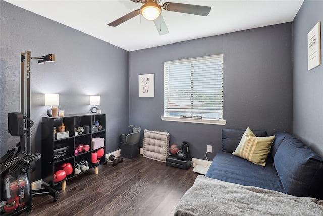 3713 Fairfield Dr, Carrollton, TX 75007 - bedroom featuring wood finished floors, ceiling fan, and baseboards