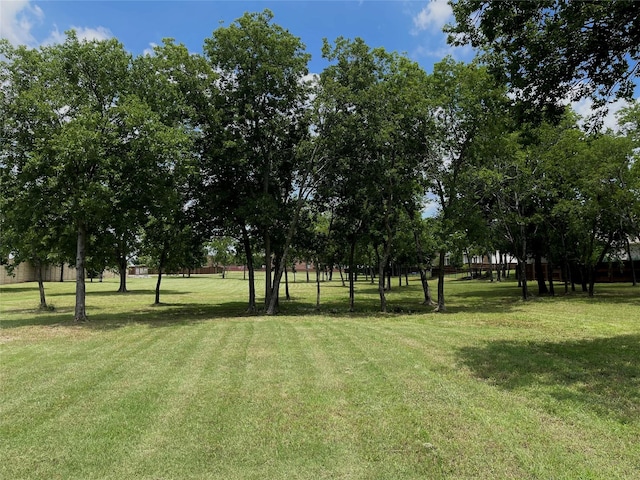 1804 Rockwood Ln, Mansfield, TX 76063 - view of grassy yard