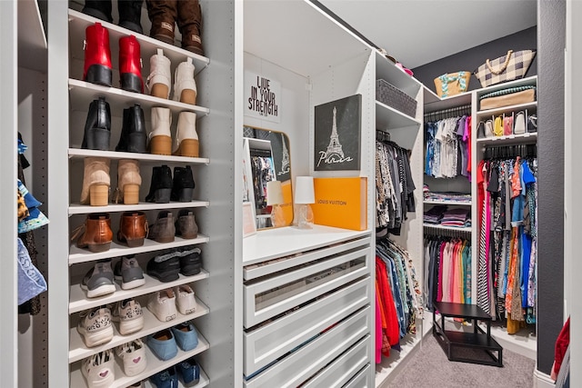 1804 Rockwood Ln, Mansfield, TX 76063 - spacious closet featuring carpet floors