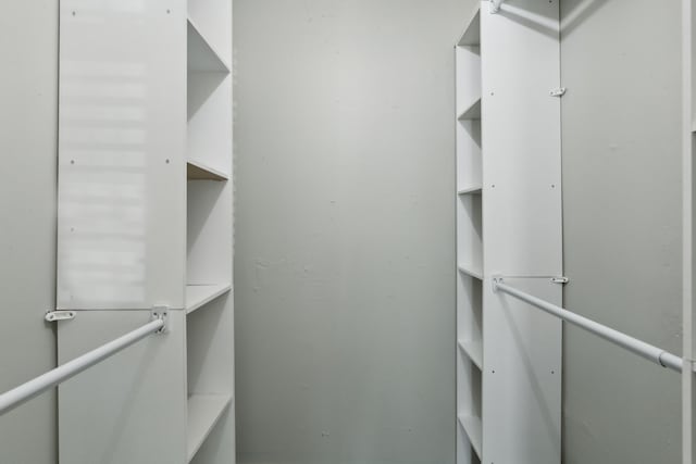 1103 Bowman St, Irving, TX 75060 - view of walk in closet