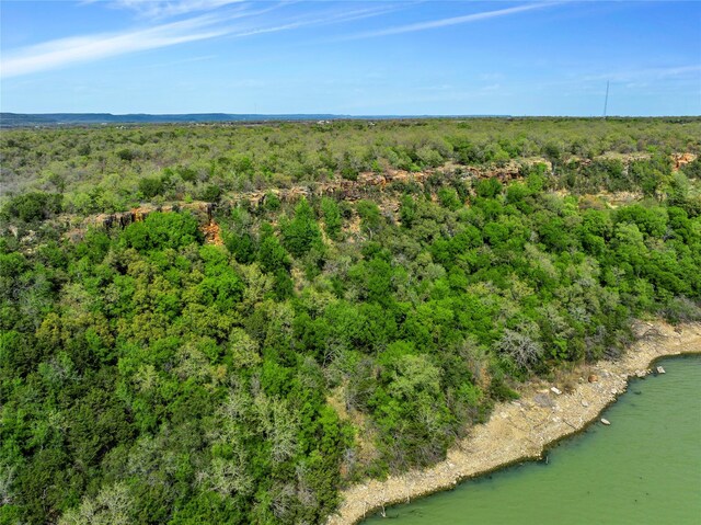 TBD4328 N Lakeview Dr, Palo Pinto, TX 76484