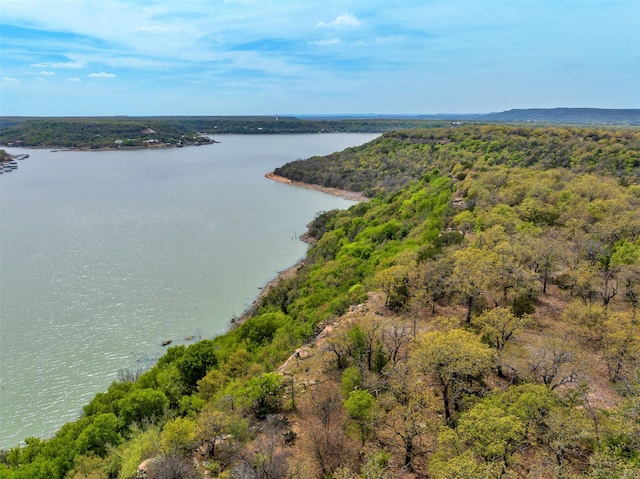 TBD4328 N Lakeview Dr, Palo Pinto, TX 76484