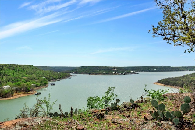 TBD4328 N Lakeview Dr, Palo Pinto, TX 76484