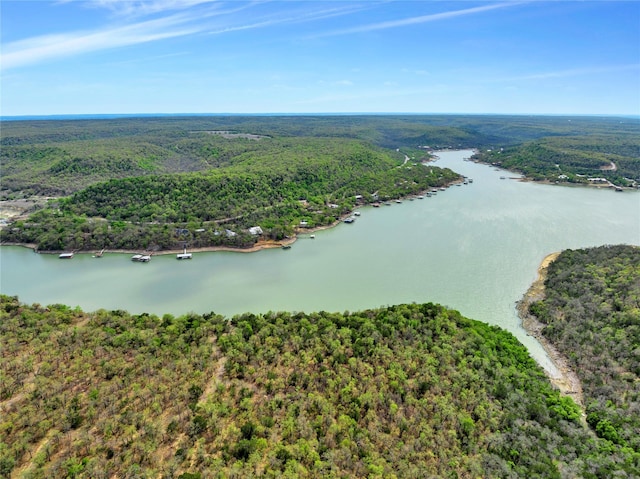 TBD4328 N Lakeview Dr, Palo Pinto, TX 76484