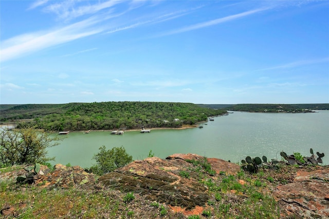 TBD4328 N Lakeview Dr, Palo Pinto, TX 76484