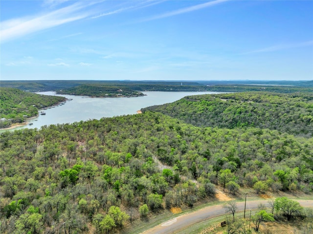 TBD4328 N Lakeview Dr, Palo Pinto, TX 76484