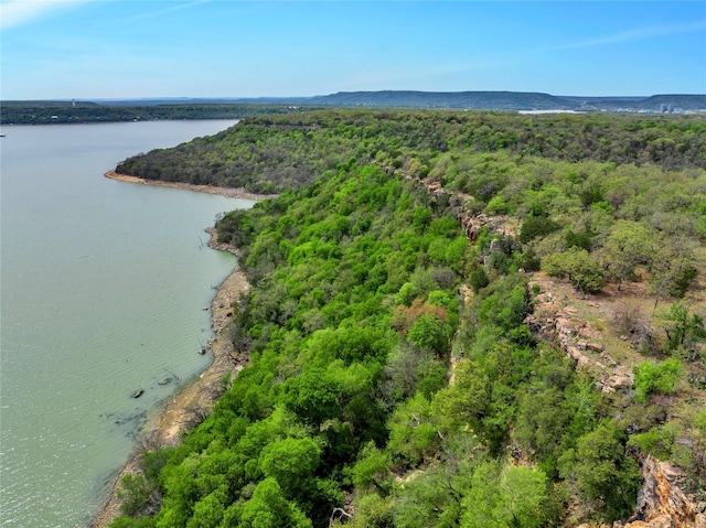 TBD4328 N Lakeview Dr, Palo Pinto, TX 76484