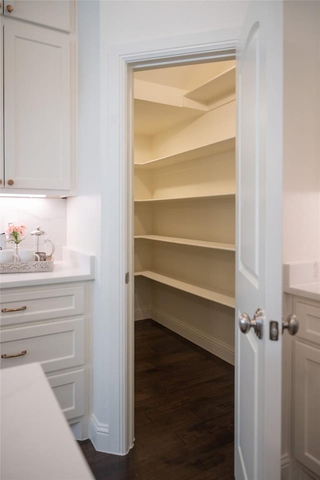 6032 Forest Ln, Fort Worth, TX 76112 - view of storage area