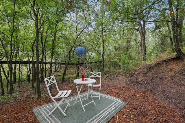 127 Pleasant Valley Ln, Weatherford, TX 76087 - view of yard