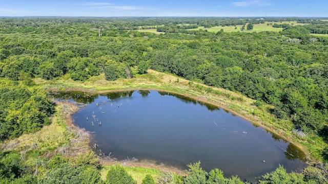 527 Copperas Rd, Sadler, TX 76264