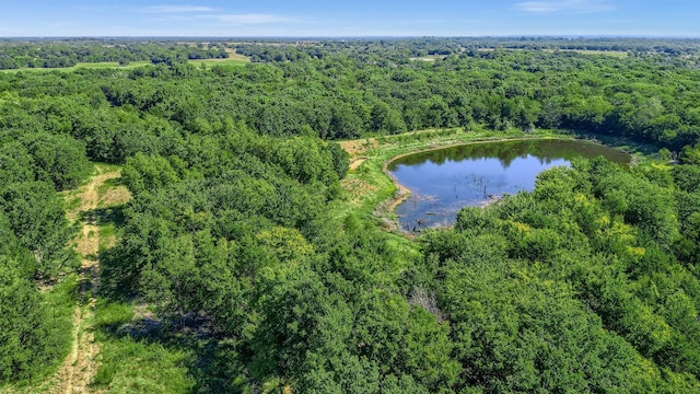 527 Copperas Rd, Sadler, TX 76264