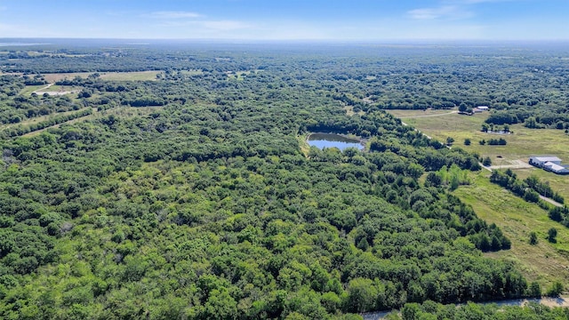 527 Copperas Rd, Sadler, TX 76264