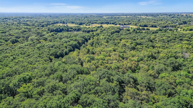 527 Copperas Rd, Sadler, TX 76264