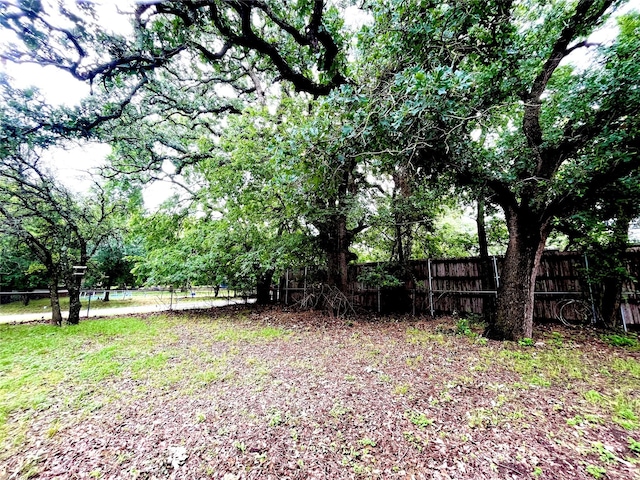 1101 Sportsman Park Rd, Azle, TX 76020 - view of yard